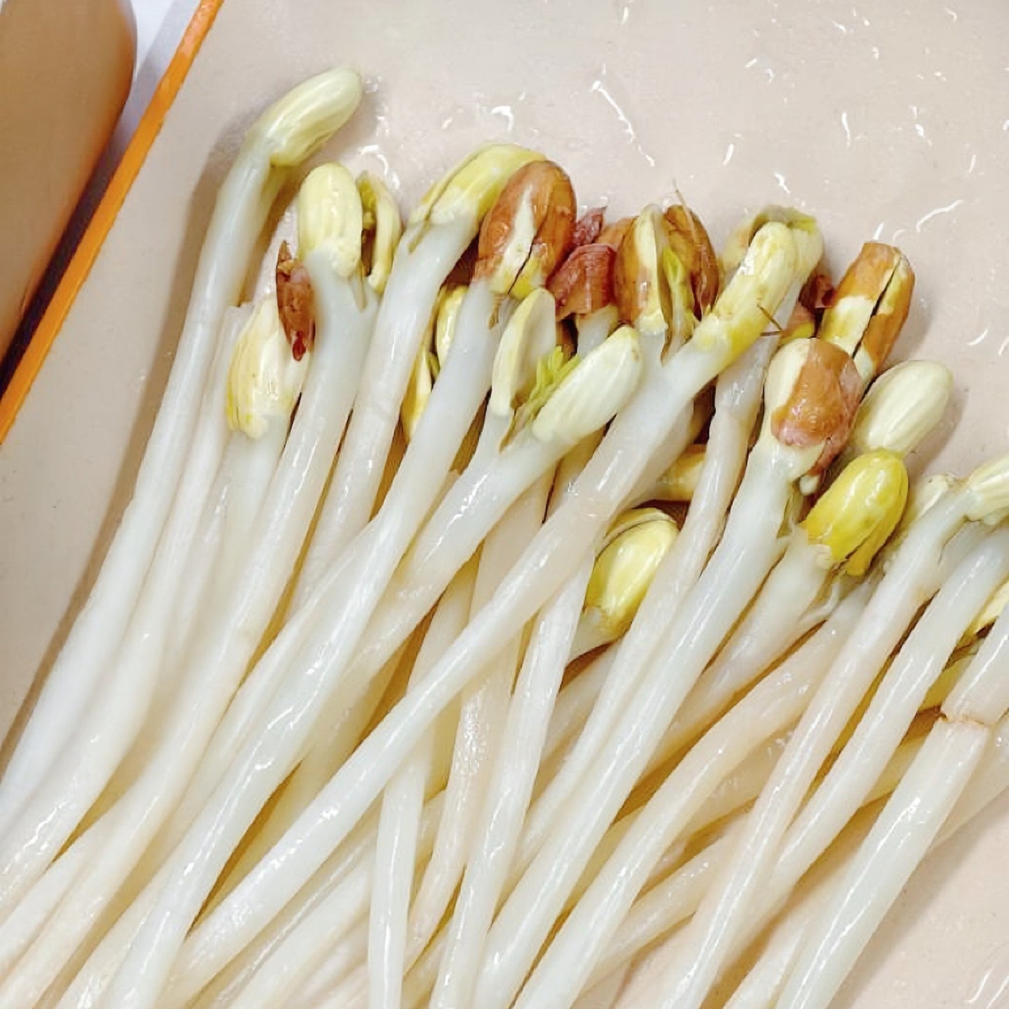 花生芽豌豆苗方塊酥