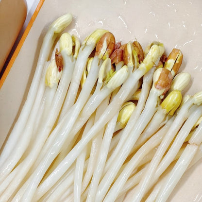 花生芽豌豆苗方塊酥